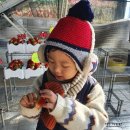 광혜원농장 이미지