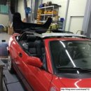 월수금통돼지 이미지