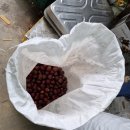 왕축농원 이미지