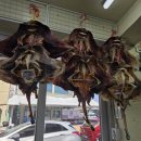 주문진 건어물시장 | 주문진건어물시장 [돌고래간어물] _ 주문진수산시장주차