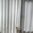 펄베이풀빌라 이미지