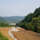 신림조경 이미지