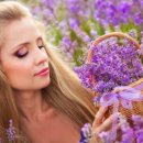 향기5로 이미지