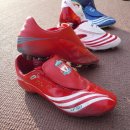 선부초등학교 이미지