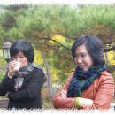 봉남이네 이미지