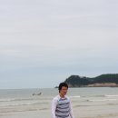 태안바다 이미지