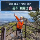 갑사주차장 공중화장실 | 계룡산 등산 코스 동학사 남매탑 삼불봉 관음봉 갑사 벚꽃 산행