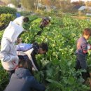 광동농장 이미지