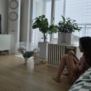 이코그루밍 이미지