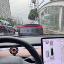법인자담 | 냅다 달려와도 포근한 고성
