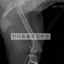 한라동물종합병원 이미지