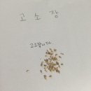 천일식당 이미지