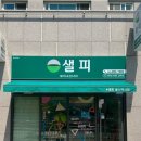 샐피약사점