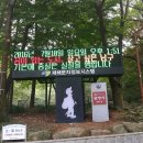 종로· 진골목 이미지