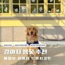 댕스널컬러 | 강아지 옷 편하고 예쁜 대형견 트렌치코트 브랜드 마일로
