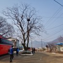 소여1리 Daum카페