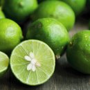 라임 이미지