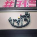 오송 봄봄 동물병원 이미지