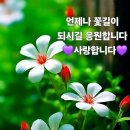 현C&P