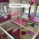 아이와 키즈풀빌라 | 가평 키즈풀빌라 추천｜아이와키즈풀빌라 대형정글짐+온수풀 후기