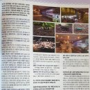 킹콩아쿠아 이미지