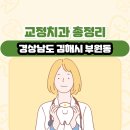 박민생치과의원 | 경상남도 김해시 부원동 교정치과 총정리