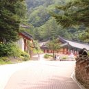 정암사 | 정암사 어떻게 가나요? 직접 다녀온 후기와 주차, 분위기, 꿀팁 총정리