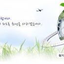 매일개발