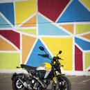 대상투어 이미지