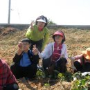 예천초등학교 이미지