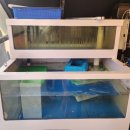 평화의집 | 대전 봉명동 술집 유성온천역 맛집 평화로운 집 쭈꾸미 연포탕 후기