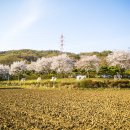 금강보행교 4 이미지