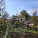 종합농장 이미지