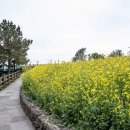 더봄호텔 이미지