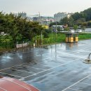 군민족구장 이미지