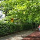 젤미공원 이미지