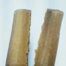 해태다방 이미지