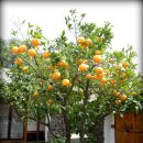 마을안관광코스 8코스 이미지