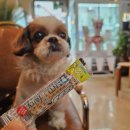 거제역 1번 출구 앞 | 부산 연산동 분위기 좋은 카페 추천 솔직후기