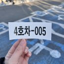 2025 대구마라톤 하프코스 후기