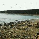 바다 공인중개사사무소 이미지