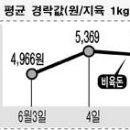 귀농영농 축산정보-축산물 출하정보 <소><돼지>-[최종편집 : 2008/06/11] 이미지