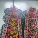 새건강정형외과의원 이미지