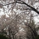 신트리공원 농구장 이미지