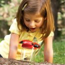 자연관찰 탐구활동 이미지