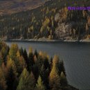 해피나라노인전문요양원 이미지