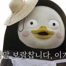 라니 - 포항시 북구 대곡로 29 | 라니