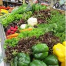 원소농장 이미지