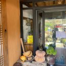 버들1길 | [엘리시안강촌 근처 맛집] 금계촌두부 : 스키 타기 전 필수 코스! 속 편한 두부전골 내돈내산 후기