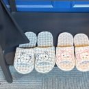 X-포켓클럽 이미지